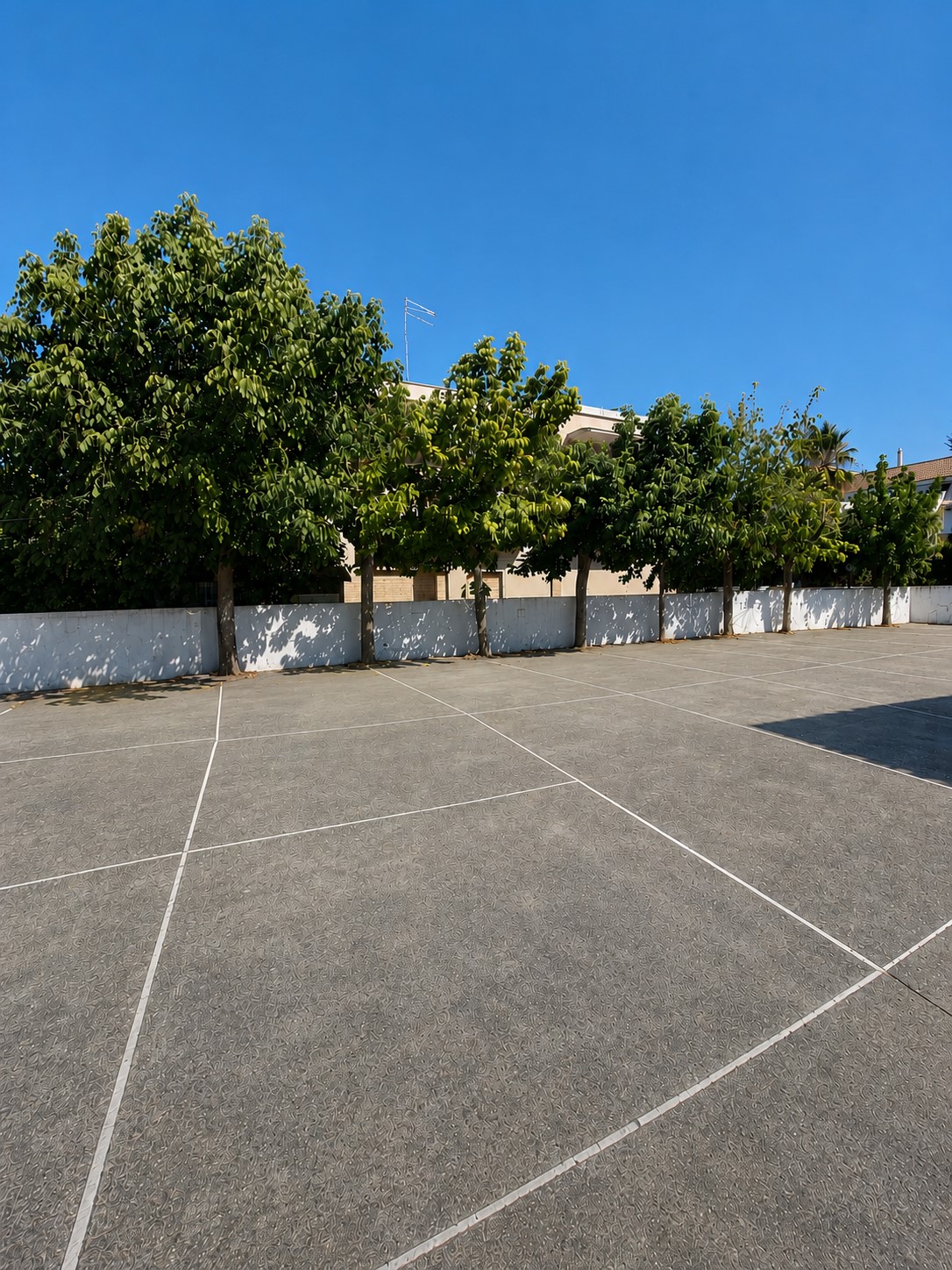 Bilocale in viale Pitagora